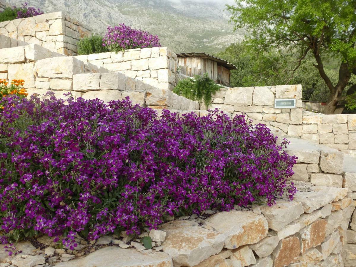 فيلا Kuca Za Odmor Viola Živogošće المظهر الخارجي الصورة